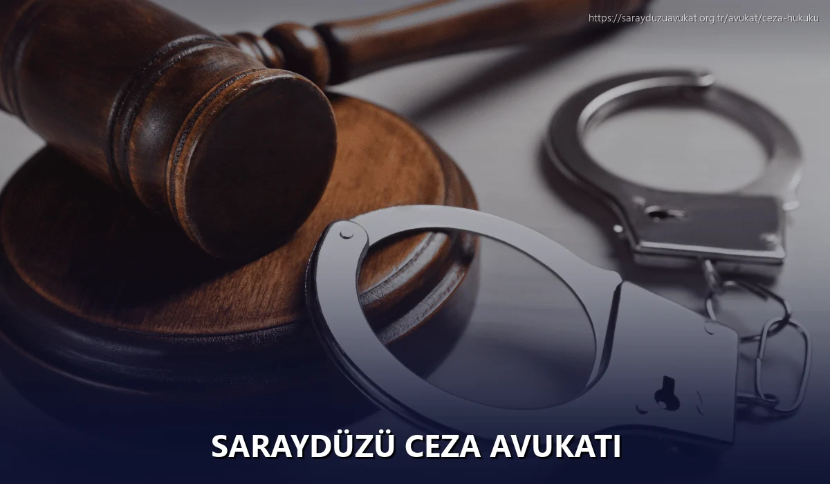 Saraydüzü Ceza Avukatı